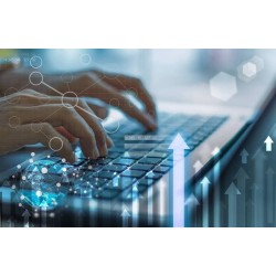 Journée du consultant IT